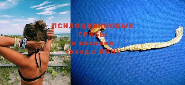 мяу мяу мука Аркадак