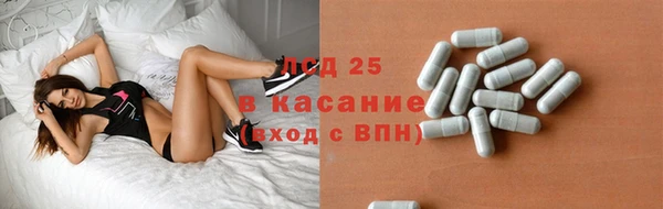 мяу мяу мука Аркадак