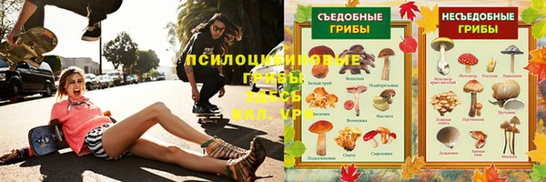 мяу мяу мука Аркадак