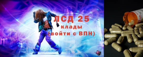 spice Арсеньев