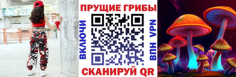 Галлюциногенные грибы мицелий  нарко площадка как зайти  Волгоград 
