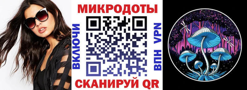 Галлюциногенные грибы Psilocybine cubensis Волгоград